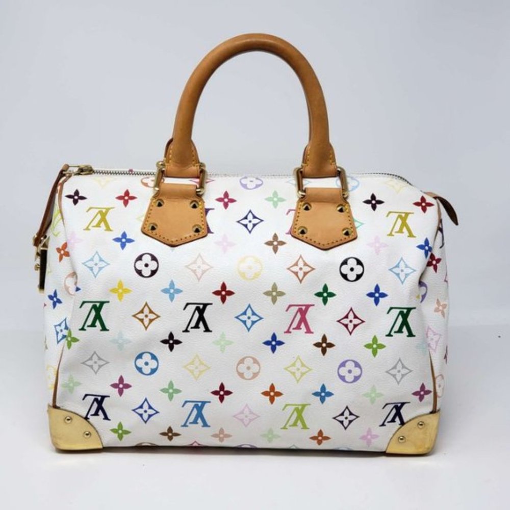 Louis Vuitton Speedy 30 Multicolor Limited Edition - Picture 3 of 15